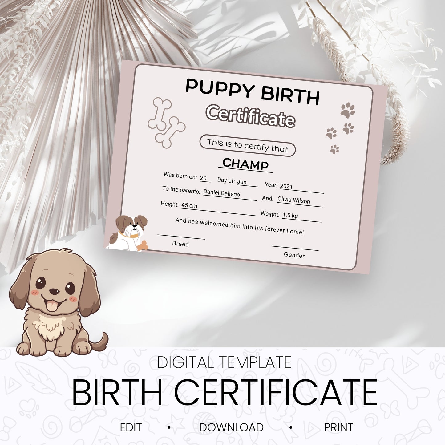 Pet Birth Certificate