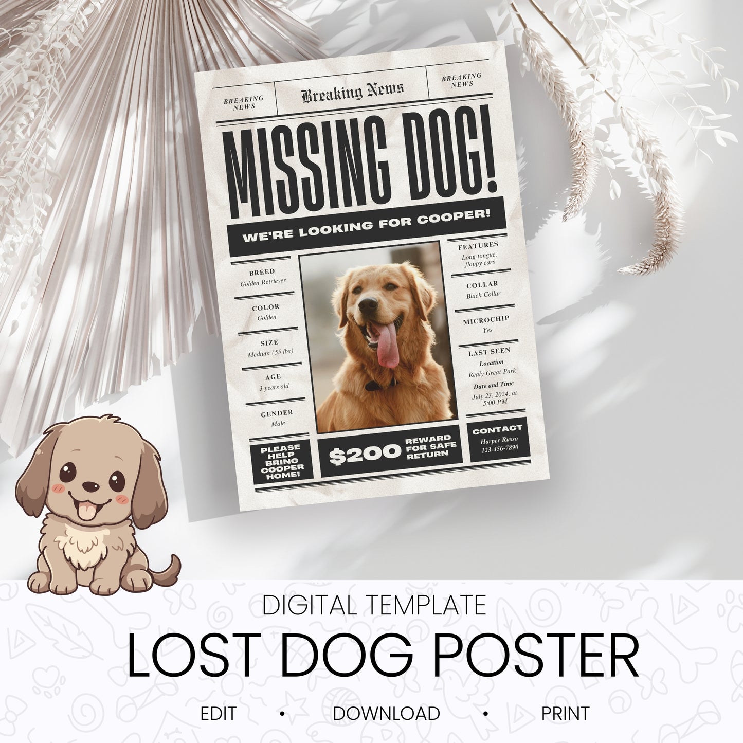 Lost Dog Poster